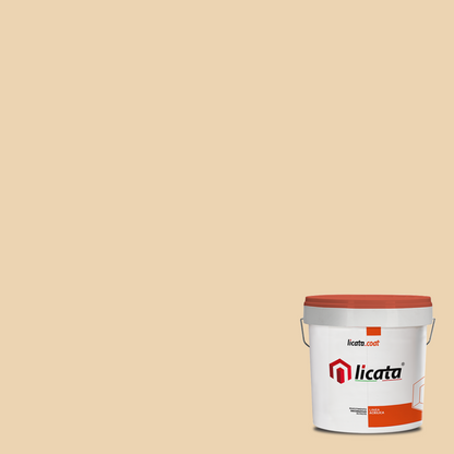 Top Coat Primer (Licata Isolante) - 20kg